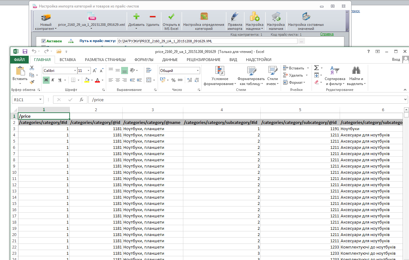 brain_xml.png